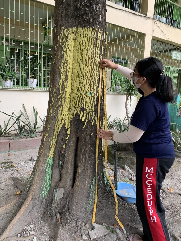 Balacatconnect - Measuring Tree Height1